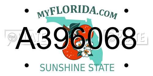 A396068 Florida License Plate