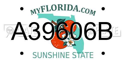 A39606B Florida License Plate