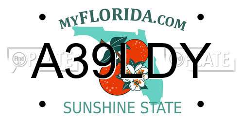 A39LDY Florida License Plate