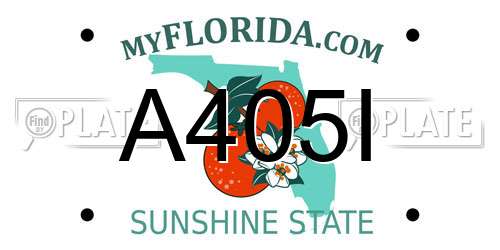 A405I Florida License Plate