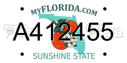 A412455 Florida License Plate
