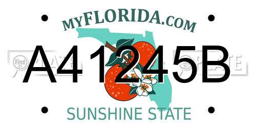 A41245B Florida License Plate