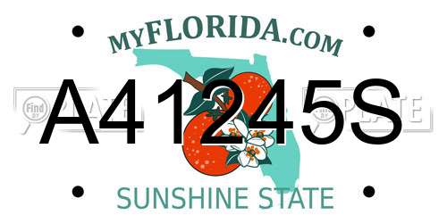 A41245S Florida License Plate