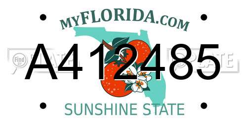A412485 Florida License Plate