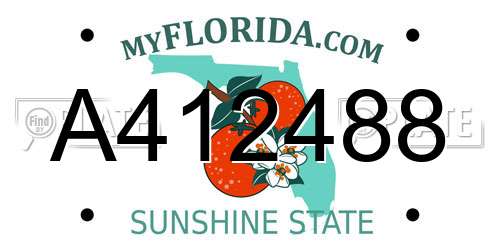 A412488 Florida License Plate