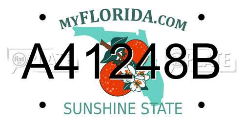 A41248B Florida License Plate