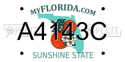 A4143C Florida License Plate