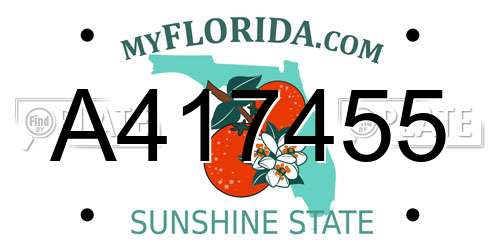 A417455 Florida License Plate