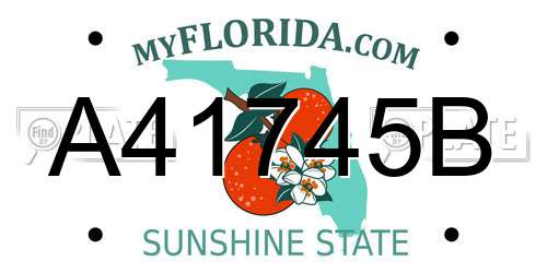A41745B Florida License Plate