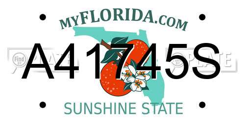 A41745S Florida License Plate