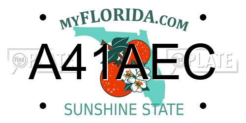 A41AEC Florida License Plate