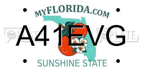 A41EVG Florida License Plate