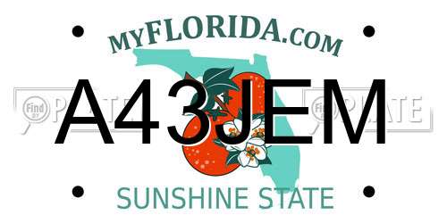 A43JEM Florida License Plate