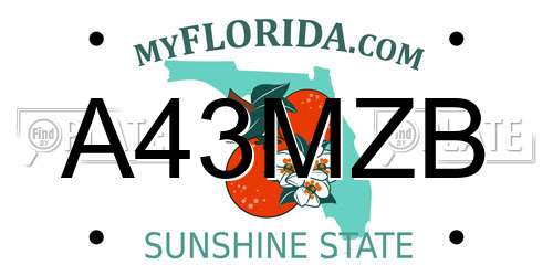 A43MZB Florida License Plate