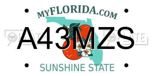 A43MZS Florida License Plate