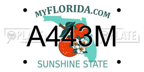 A443M Florida License Plate