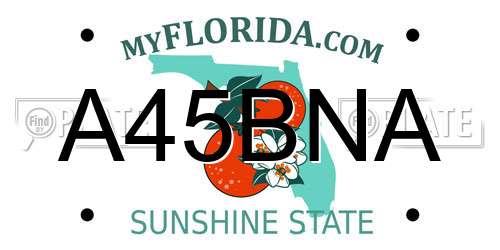 A45BNA Florida License Plate