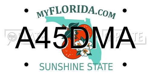 A45DMA Florida License Plate