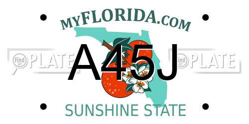 A45J Florida License Plate
