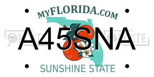 A45SNA Florida License Plate