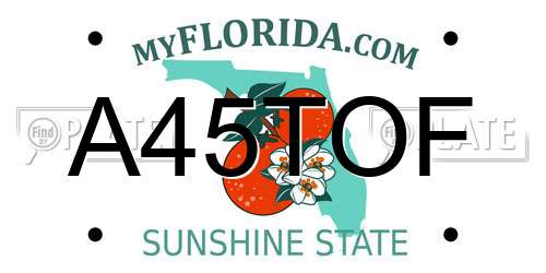 A45TOF Florida License Plate