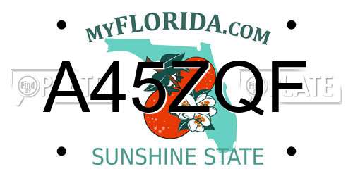 A45ZQF Florida License Plate