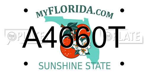 A4660T Florida License Plate