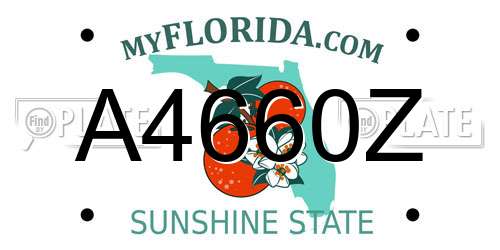 A4660Z Florida License Plate