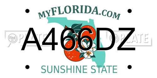 A466DZ Florida License Plate