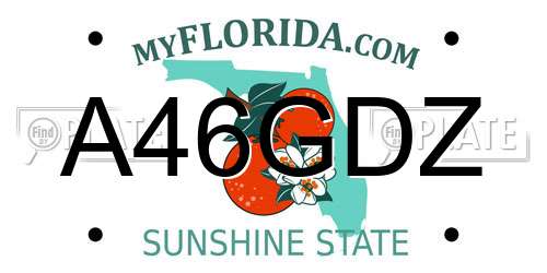 A46GDZ Florida License Plate