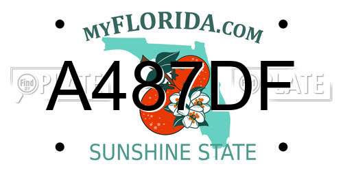 A487DF Florida License Plate