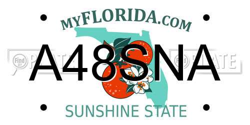 A48SNA Florida License Plate