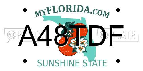 A48TDF Florida License Plate