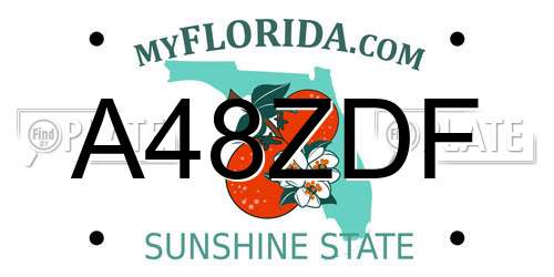 A48ZDF Florida License Plate