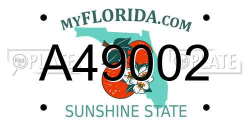 A49002 Florida License Plate