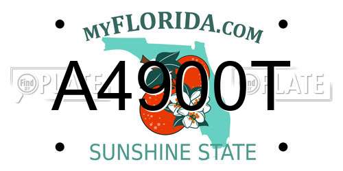 A4900T Florida License Plate