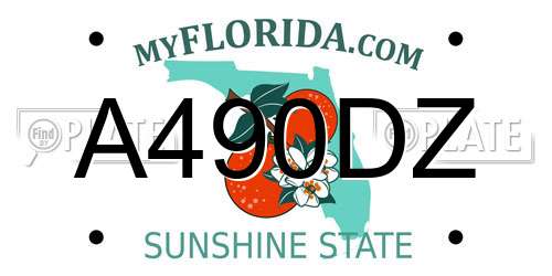 A490DZ Florida License Plate