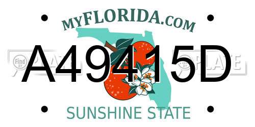 A49415D Florida License Plate
