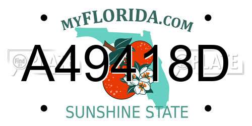 A49418D Florida License Plate