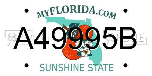 A49995B Florida License Plate