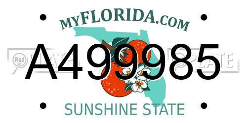 A499985 Florida License Plate