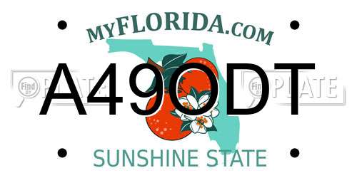 A49ODT Florida License Plate