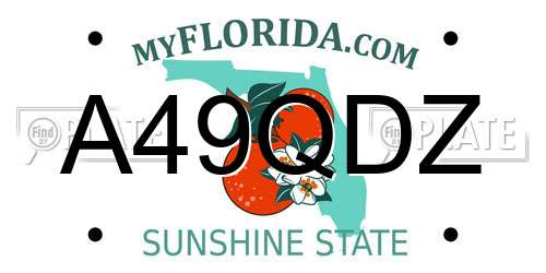 A49QDZ Florida License Plate