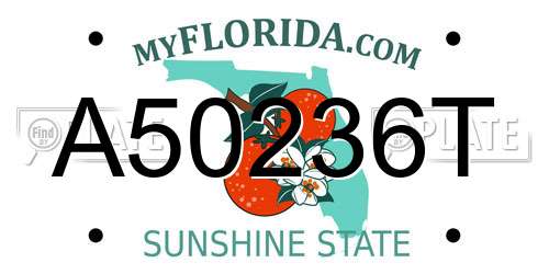 A50236T Florida License Plate