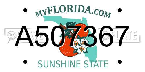A507367 Florida License Plate