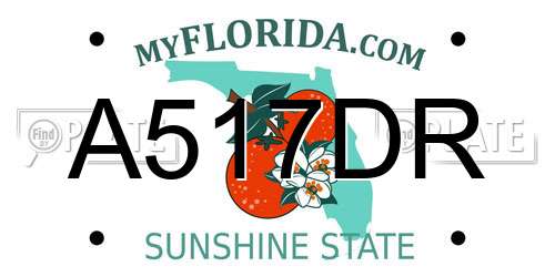 A517DR Florida License Plate