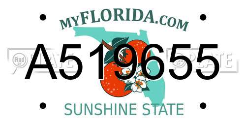 A519655 Florida License Plate