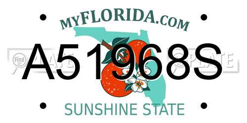 A51968S Florida License Plate