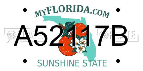 A52117B Florida License Plate