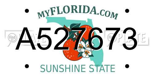 A527673 Florida License Plate